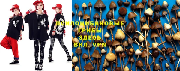 дмт Абдулино