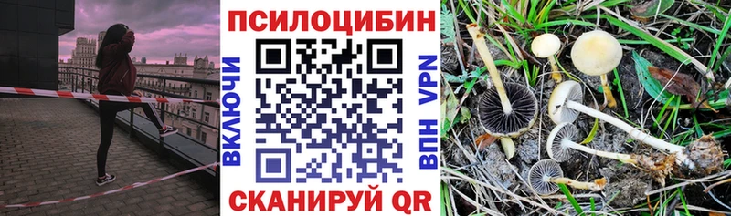 Галлюциногенные грибы MAGIC MUSHROOMS  Алапаевск 